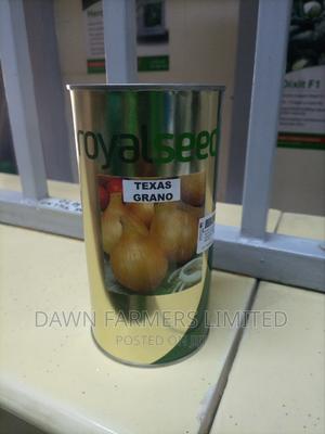 Texas Grano 500gms Onion - main view