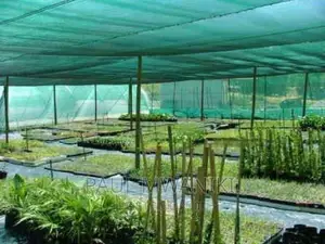 55% Greenhouse Shading