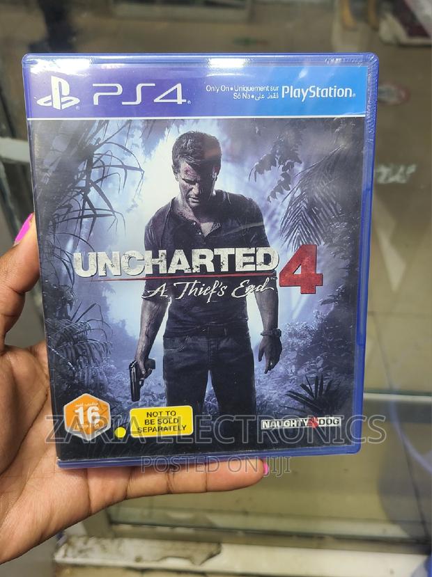 Ps4 Uncharted 4 Thiefs End Game - main view