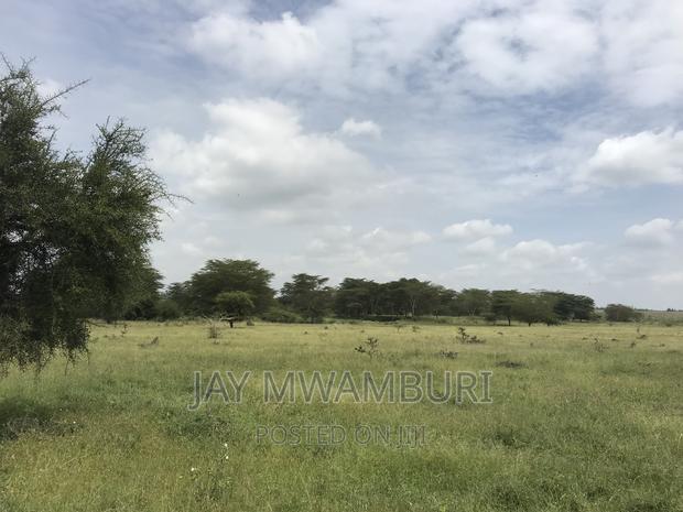 40 Acres Kenani - thumbnail 2