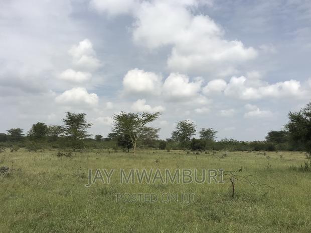 40 Acres Kenani - thumbnail 5