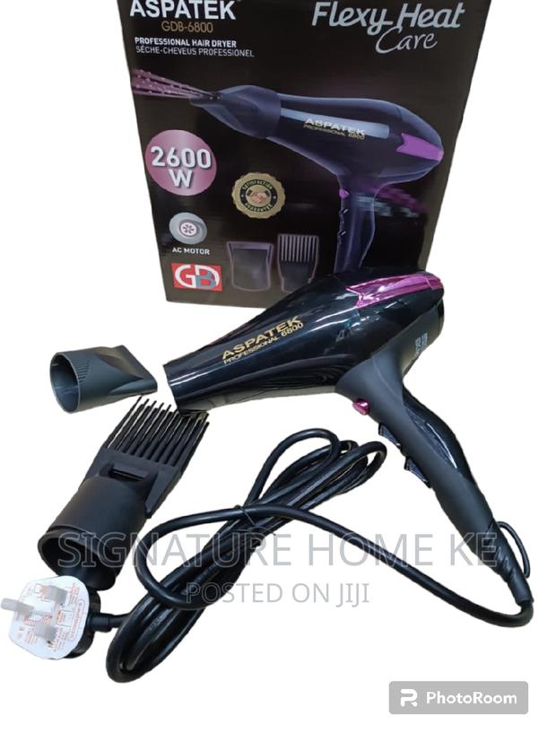 Aspatek Professional Hair Dryer - main view