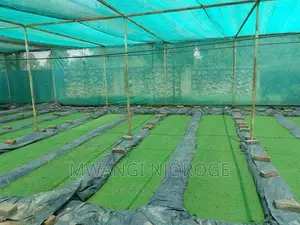 Damliner Installation