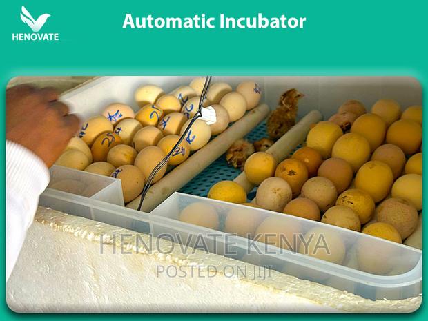Best Quality Poultry Incubators(New and Affordable - thumbnail 2