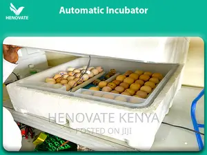 Best Quality Poultry Incubators(New and Affordable