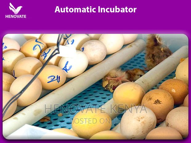 Best High Quality Automatic Eggs Incubators(2024) - thumbnail 2