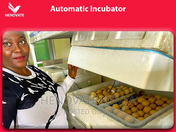 Best High Quality Automatic Eggs Incubators(2024) - thumbnail 3