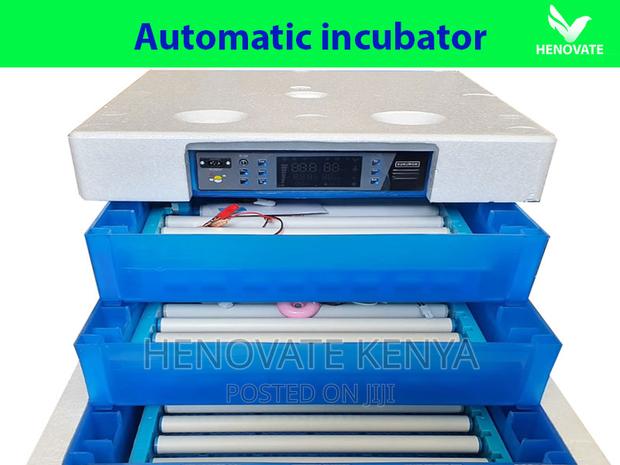 Automatic Solar Egg Incubators in Kenya - main view