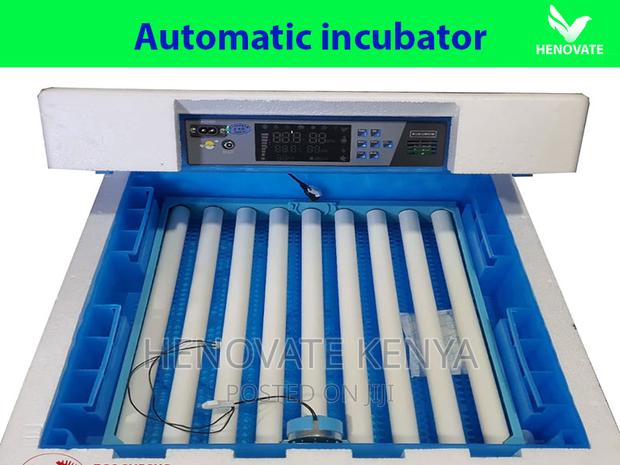 Automatic Solar Egg Incubators in Kenya - thumbnail 3