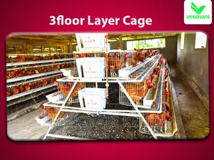 Spacious 96 Layers Chicken Cage