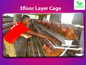 3floor Layers Cage/96 Birds