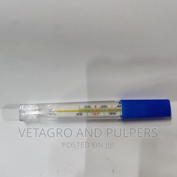 Clinical Thermometer