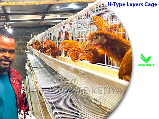 H Type Layer Chicken Cage System