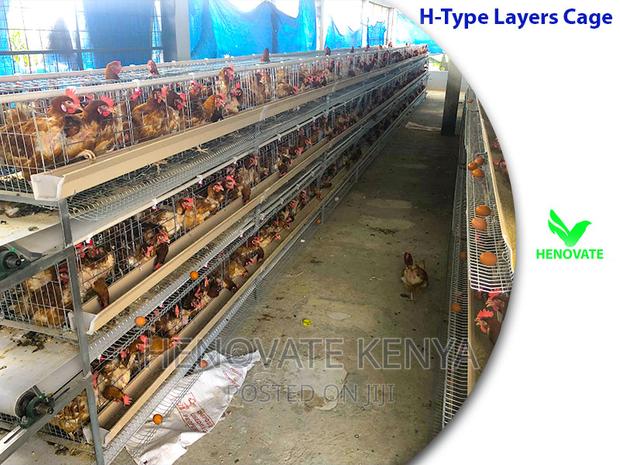 H Type Layer Chicken Cage System - thumbnail 2