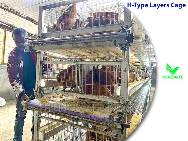 H Type Layer Chicken Cage System - thumbnail 3