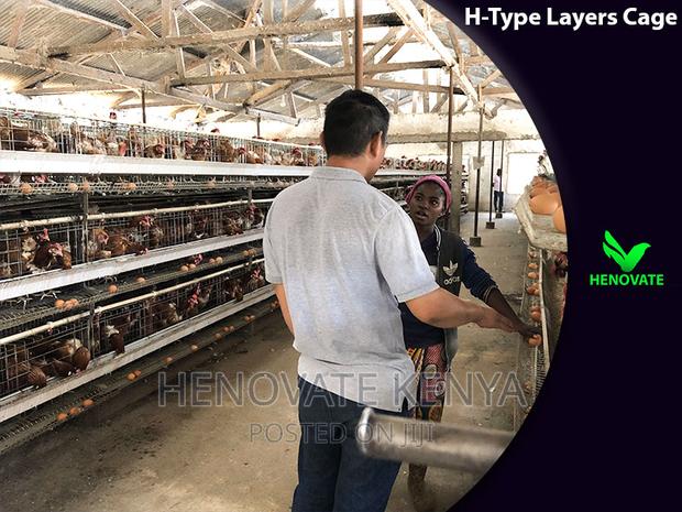 H Type Layer Chicken Cage/Easy Egg Collect - thumbnail 3