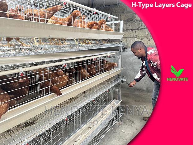 Substantial H Type Layer Chicken Cage in Kenya. - thumbnail 4