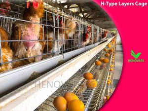 Substantial H Type Layer Chicken Cage in Kenya. - thumbnail 2