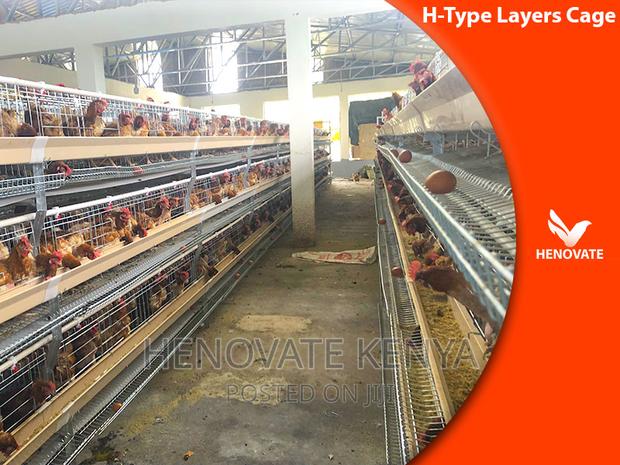 Full Automatic H Type Layer Chicken Cage in Kenya - main view