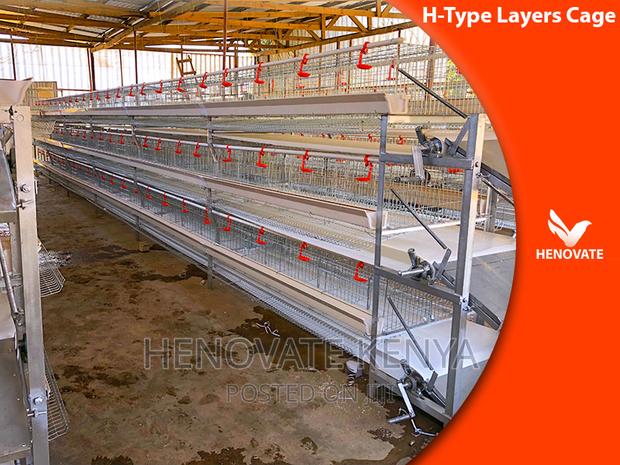 Full Automatic H Type Layer Chicken Cage in Kenya - thumbnail 3