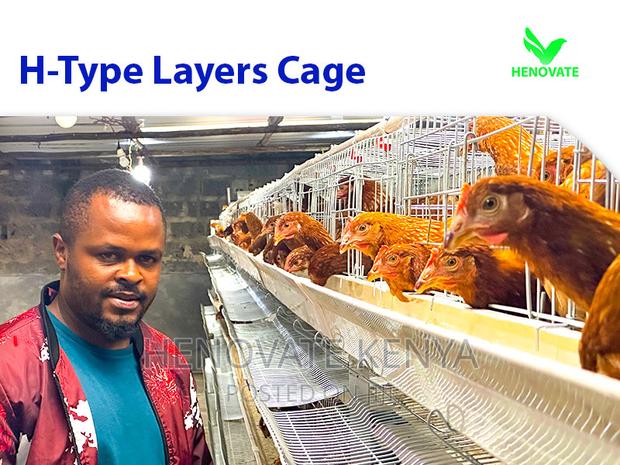 Layer Chicken Cage Saving Space in Kenya - main view
