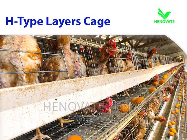 Layer Chicken Cage Saving Space in Kenya - thumbnail 3