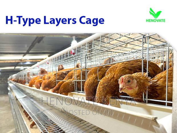 Layer Chicken Cage Saving Space in Kenya - thumbnail 4