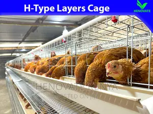 Hightop Poultry Farming(H-Type)Cage in Kiambu Ruiru