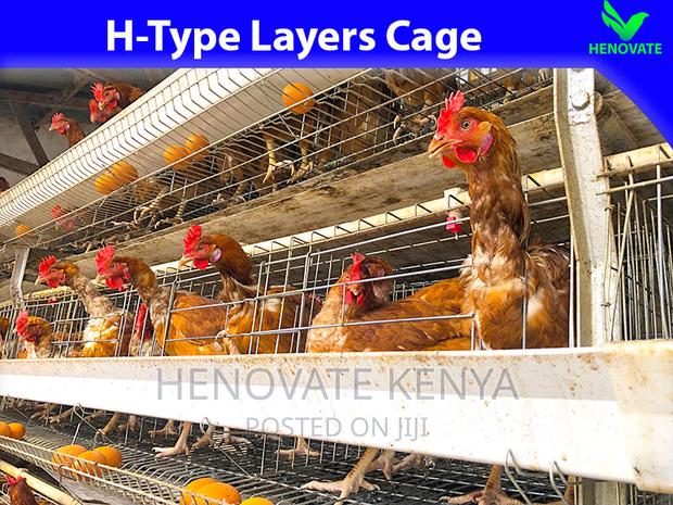 Hightop Poultry Farming(H-Type)Cage in Kiambu Ruiru - thumbnail 3