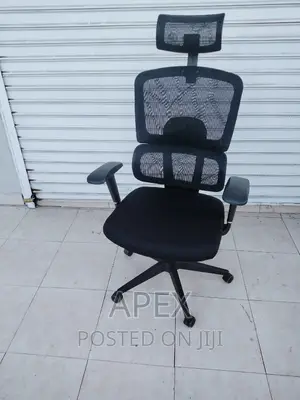 Orthopedic Executive Office Chair Orthopedic Chairs