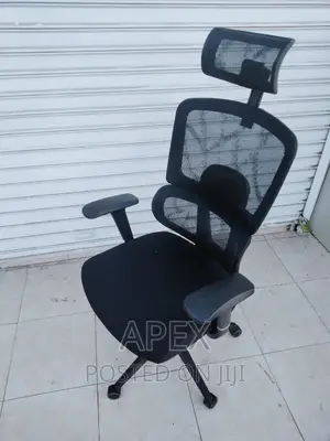 Orthopedic Executive Office Chair Orthopedic Chairs