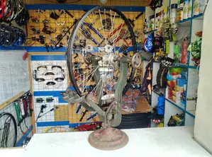 Bicycle Wheel Building and Truing Services