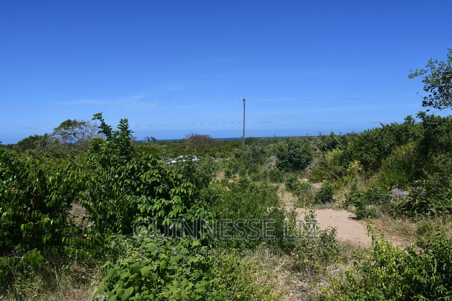 Malindi Phase 3 Casuarina Road