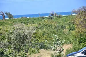 Malindi Phase 3 Casuarina Road