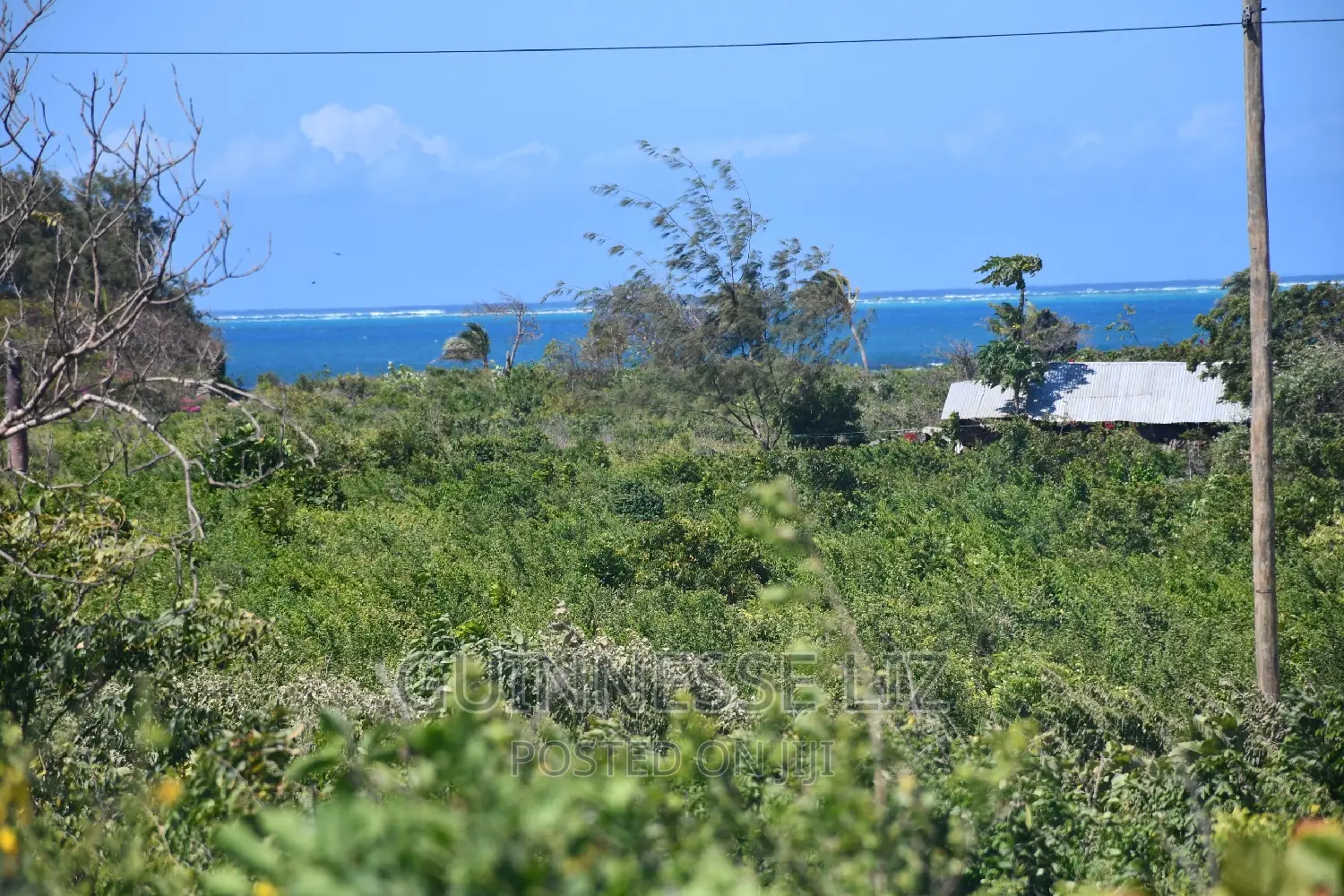 Malindi Phase 3 Casuarina Road