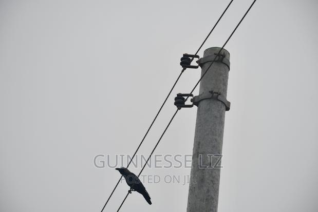 Malindi Phase 3 Casuarina Road - thumbnail 12