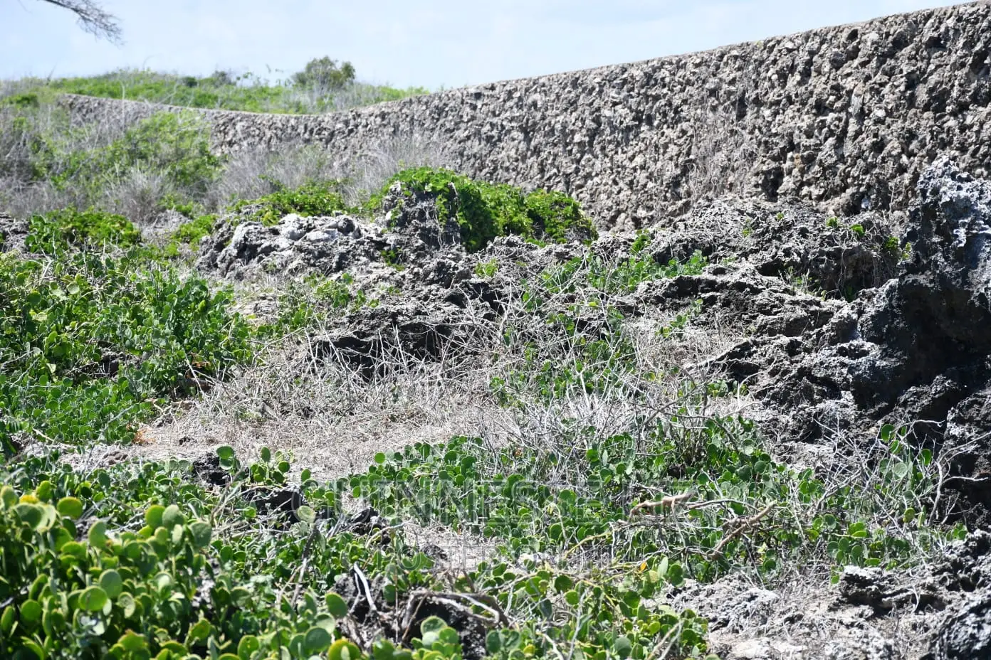 Malindi Phase 3 Casuarina Road