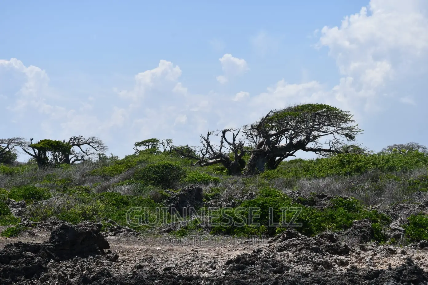 Malindi Phase 3 Casuarina Road