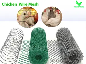 Best Quality Chicken Wire Mesh in Kenya/High Density