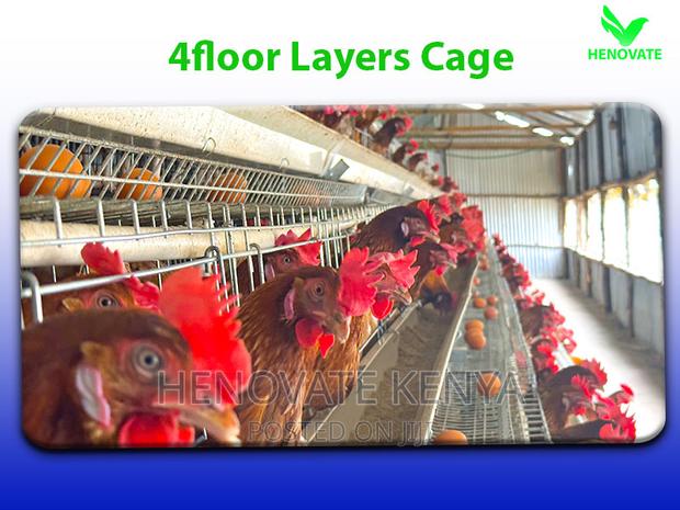 128 Birds Battery Cages - thumbnail 2
