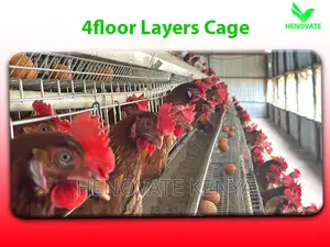 128 Chicken Layer Cage in Kenya