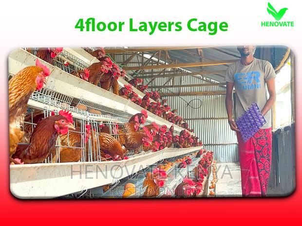 128-Chicken Capacity Layer Cages - main view
