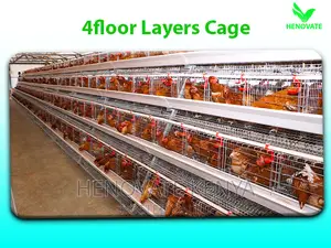 Chicken Cage 128 Bird Poultry/in Kenya Cheap to Handle