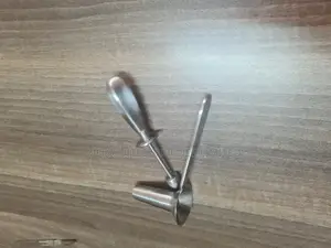 Protoscope