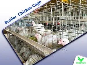 Broiler Cages for Kenya Farm