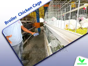 Broiler Cages for Kenya Farm