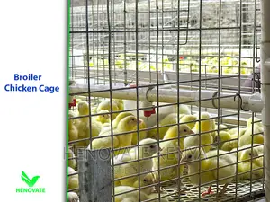 Right Broiler Chicken Cages for Your Poultry
