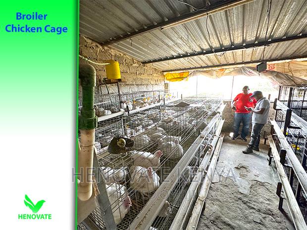 High-Grade Broiler Cages for Sale (In Kenya) Saves Space - main view