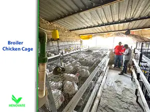 High-Grade Broiler Cages for Sale (In Kenya) Saves Space