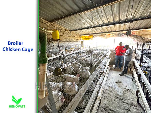 High-Grade Broiler Cages for Sale (In Kenya) Saves Space - thumbnail 3